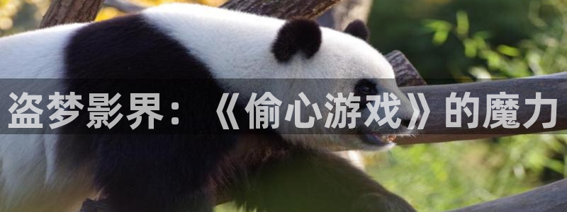 51视频在线播放