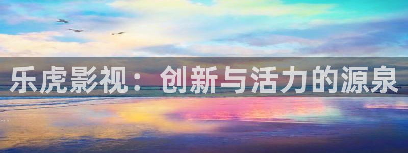 51视频在线播放